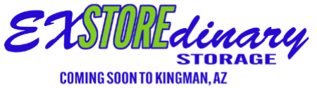 Extordinary Storage Logo